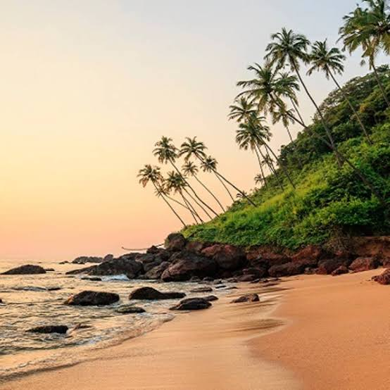 North Goa beach at sunset, palm silhouettes against the sky