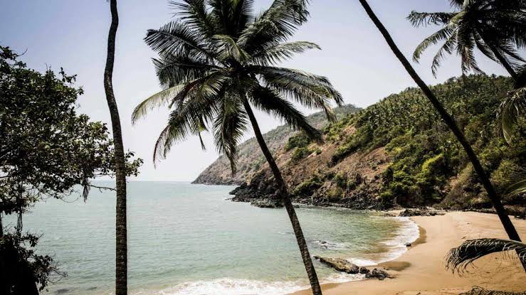 Quiet crescent of sand and palm at Palolem in south Goa