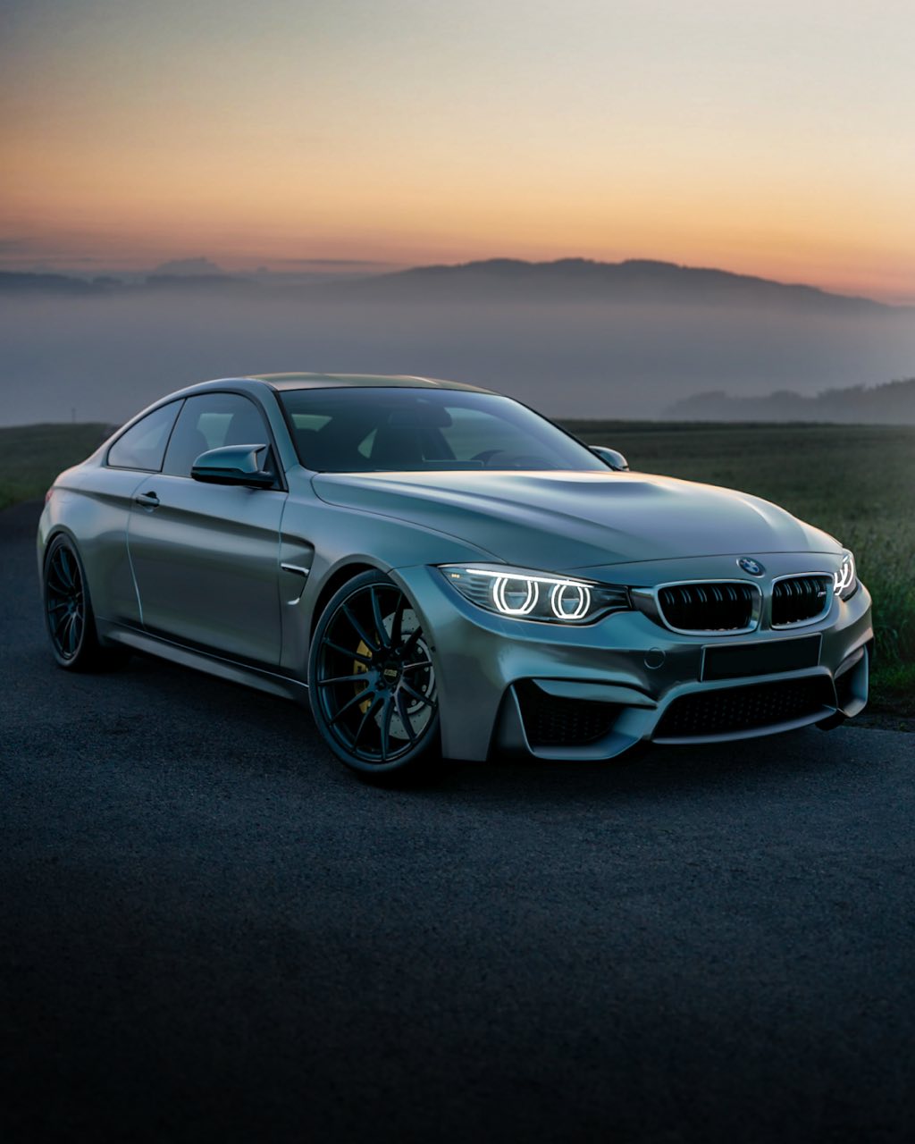 Silver BMW parked on grass at sunset near mountains