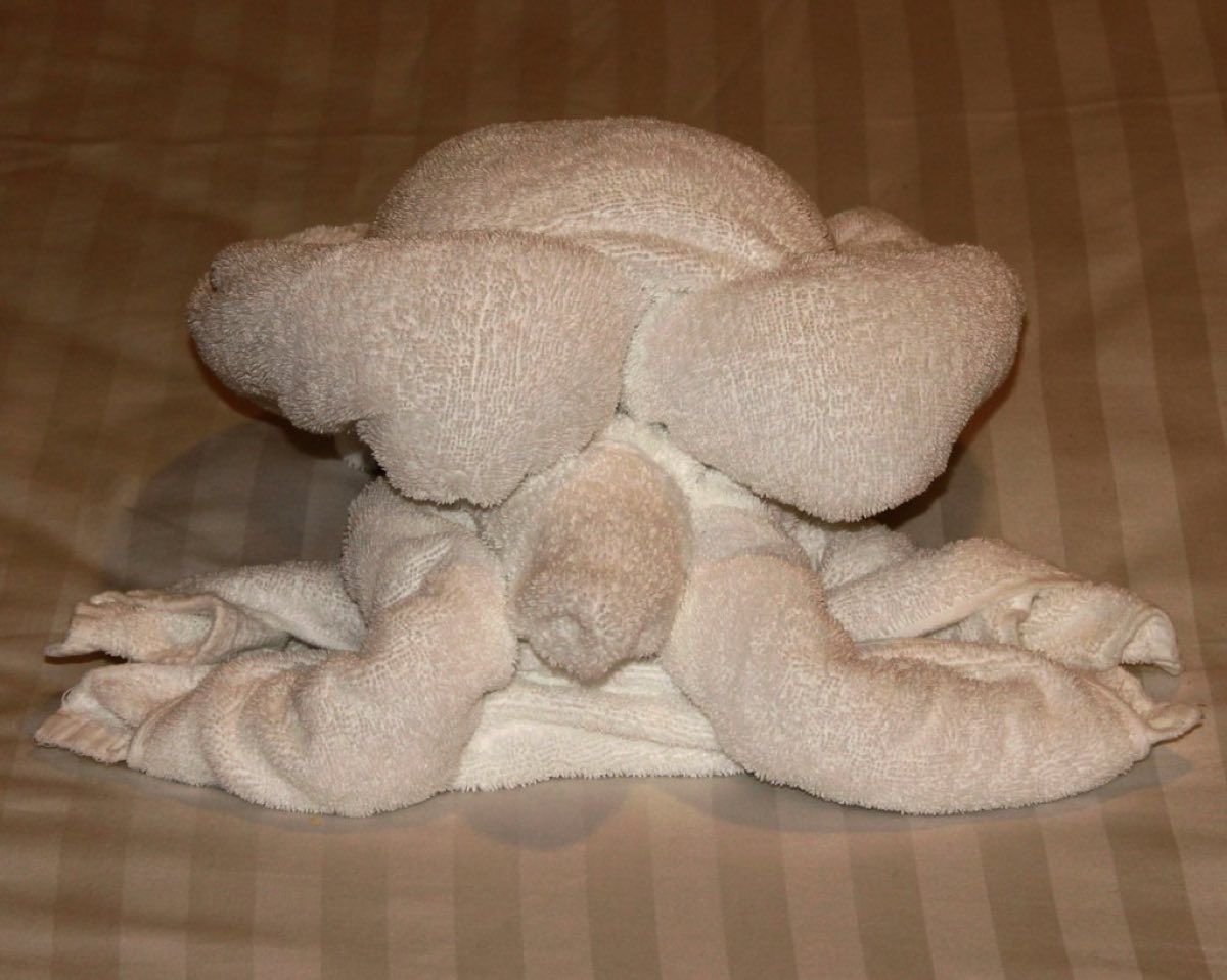 Bath towels folded to guest-room standard.