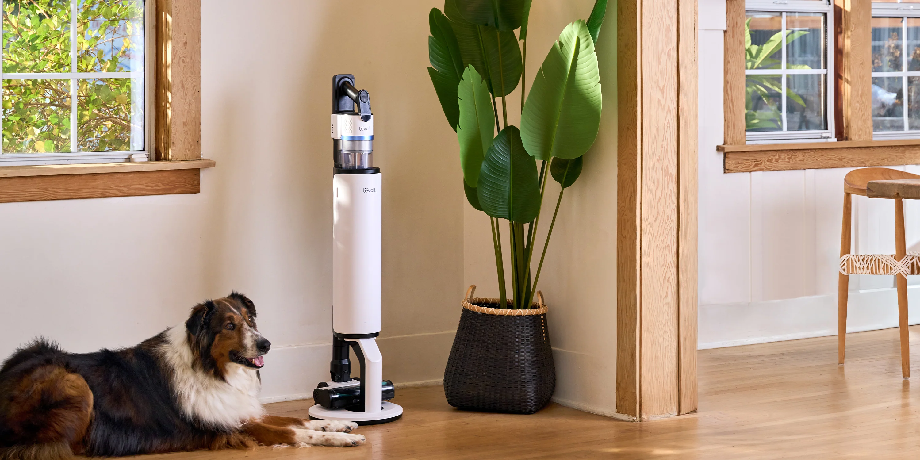 Levoit Core 300, 400S & 600S Review: 30 Days of Real Home Testing